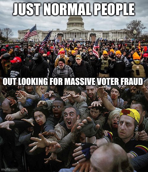 JUST NORMAL PEOPLE; OUT LOOKING FOR MASSIVE VOTER FRAUD | image tagged in jan 6th,zombies approaching | made w/ Imgflip meme maker