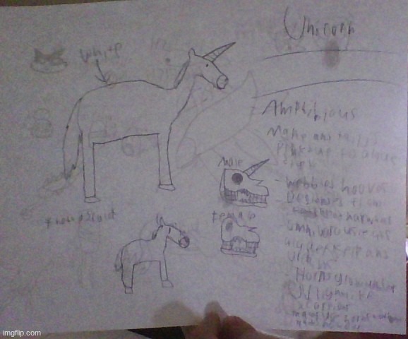 i suck at drawing equine body types | made w/ Imgflip meme maker