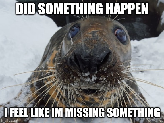 his name's bim bim | DID SOMETHING HAPPEN; I FEEL LIKE IM MISSING SOMETHING | image tagged in his name's bim bim | made w/ Imgflip meme maker