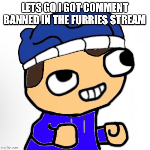 LETS GO I GOT COMMENT BANNED IN THE FURRIES STREAM | made w/ Imgflip meme maker