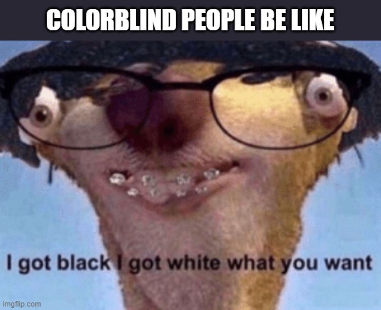 I got black I got white what ya want | COLORBLIND PEOPLE BE LIKE | image tagged in i got black i got white what ya want | made w/ Imgflip meme maker