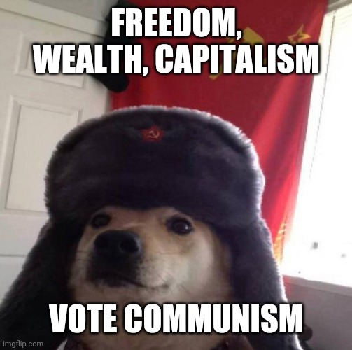 Russian Doge | FREEDOM, WEALTH, CAPITALISM VOTE COMMUNISM | image tagged in russian doge | made w/ Imgflip meme maker