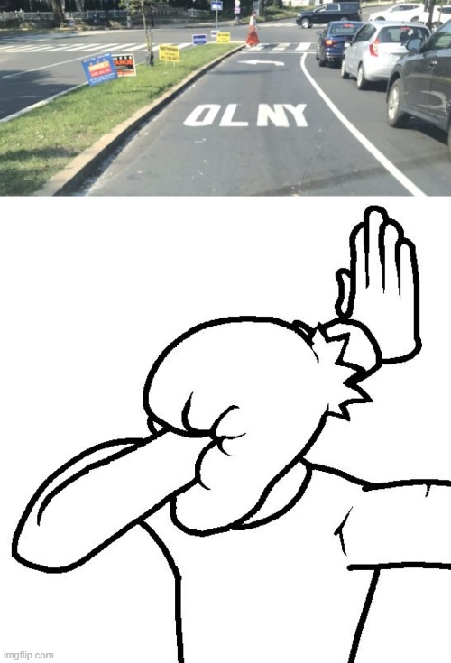"olny" | image tagged in extreme facepalm | made w/ Imgflip meme maker
