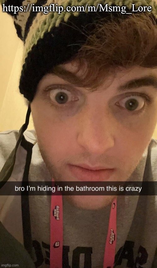 new stream for the persona of msmgge | https://imgflip.com/m/Msmg_Lore | image tagged in i m hiding in the bathroom bro | made w/ Imgflip meme maker
