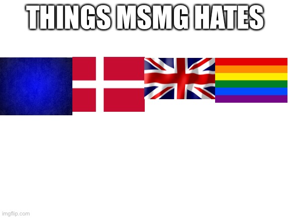Blank White Template | THINGS MSMG HATES | image tagged in blank white template | made w/ Imgflip meme maker