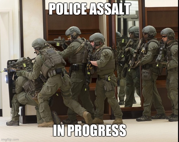 FBI SWAT | POLICE ASSALT IN PROGRESS | image tagged in fbi swat | made w/ Imgflip meme maker