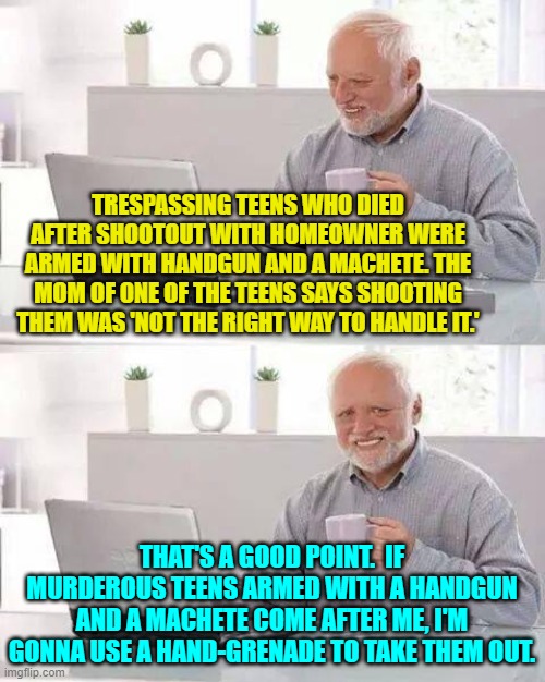 Yes . . . there usually IS a better way to handle any emergency. | TRESPASSING TEENS WHO DIED AFTER SHOOTOUT WITH HOMEOWNER WERE ARMED WITH HANDGUN AND A MACHETE. THE MOM OF ONE OF THE TEENS SAYS SHOOTING THEM WAS 'NOT THE RIGHT WAY TO HANDLE IT.'; THAT'S A GOOD POINT.  IF MURDEROUS TEENS ARMED WITH A HANDGUN AND A MACHETE COME AFTER ME, I'M GONNA USE A HAND-GRENADE TO TAKE THEM OUT. | image tagged in hide the pain harold | made w/ Imgflip meme maker