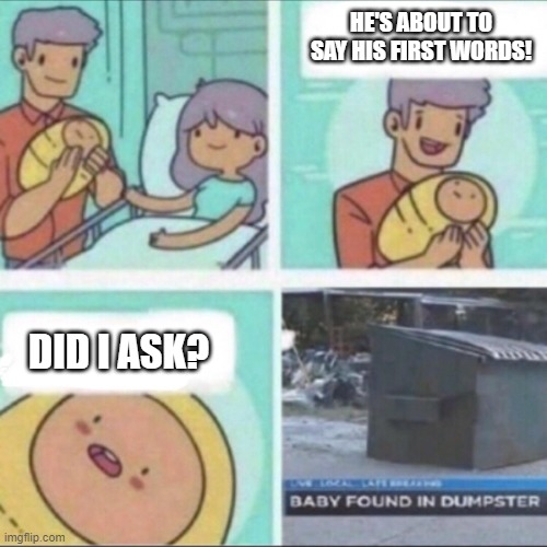 Baby | HE'S ABOUT TO SAY HIS FIRST WORDS! DID I ASK? | image tagged in baby found in dumpster | made w/ Imgflip meme maker