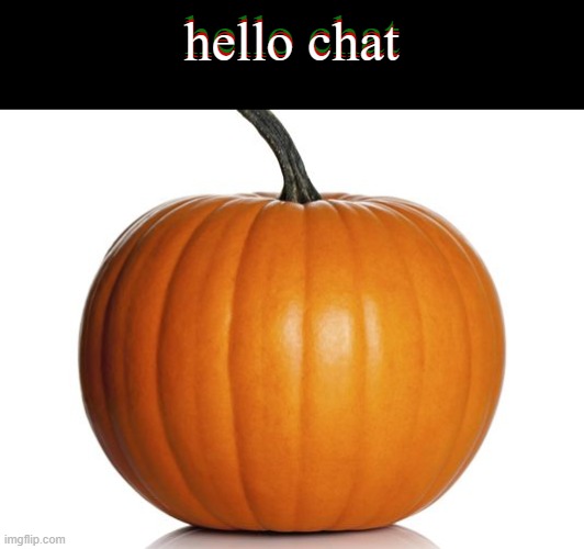 pumpkin | hello chat; hello chat; hello chat | image tagged in pumpkin | made w/ Imgflip meme maker