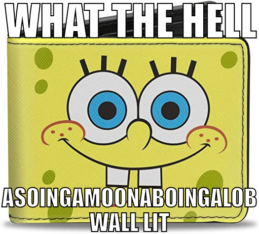 WHAT THE HELL ASOINGAMOONABOINGALOB WALL LIT Blank Meme Template