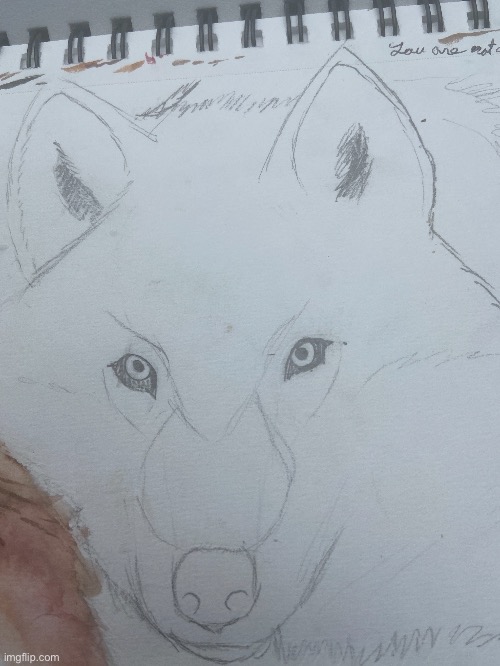 Bullshit | made w/ Imgflip meme maker