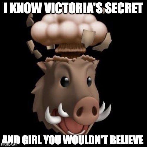 this is cringy idc | I KNOW VICTORIA'S SECRET; AND GIRL YOU WOULDN'T BELIEVE | image tagged in mind blown pig | made w/ Imgflip meme maker