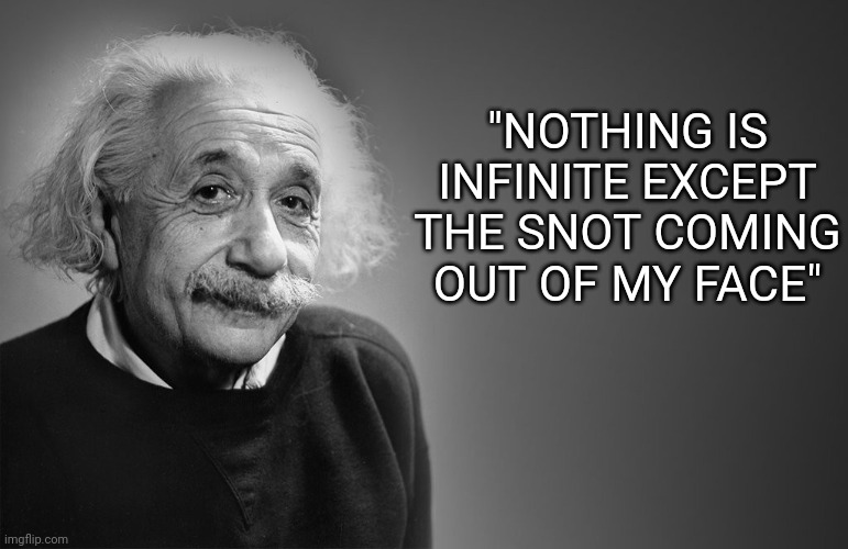 So true | "NOTHING IS INFINITE EXCEPT THE SNOT COMING OUT OF MY FACE" | image tagged in albert einstein quotes | made w/ Imgflip meme maker