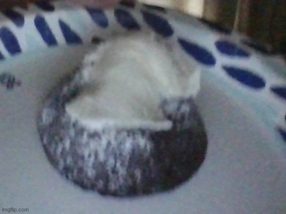 BRO I LOVE THIS COMBO (Domino's Lava Cake and Vanilla Ice Cream | made w/ Imgflip meme maker