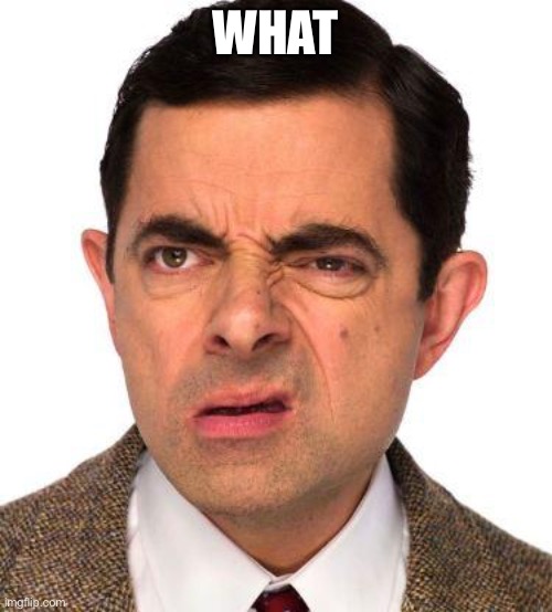 mr bean face | WHAT | image tagged in mr bean face | made w/ Imgflip meme maker
