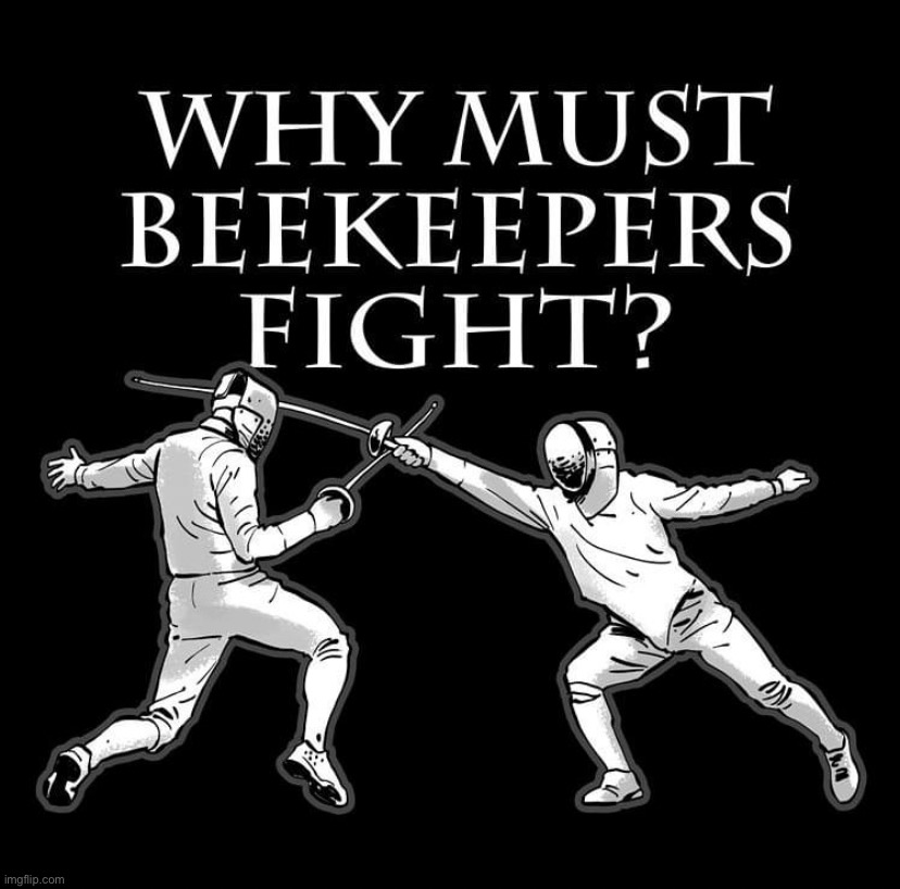 Why must beekeepers fight | image tagged in why must beekeepers fight | made w/ Imgflip meme maker