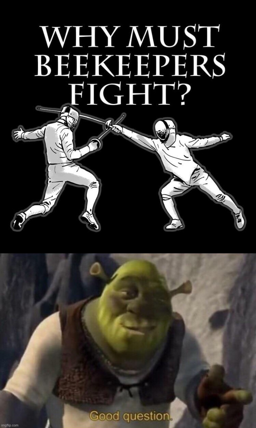 Good question | image tagged in why must beekeepers fight,shrek good question,why,must,beekeepers,fight | made w/ Imgflip meme maker