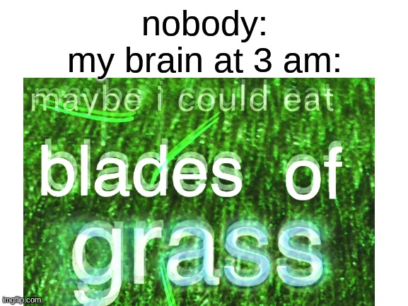 ok | nobody:
my brain at 3 am: | image tagged in grass,bill wurtz | made w/ Imgflip meme maker