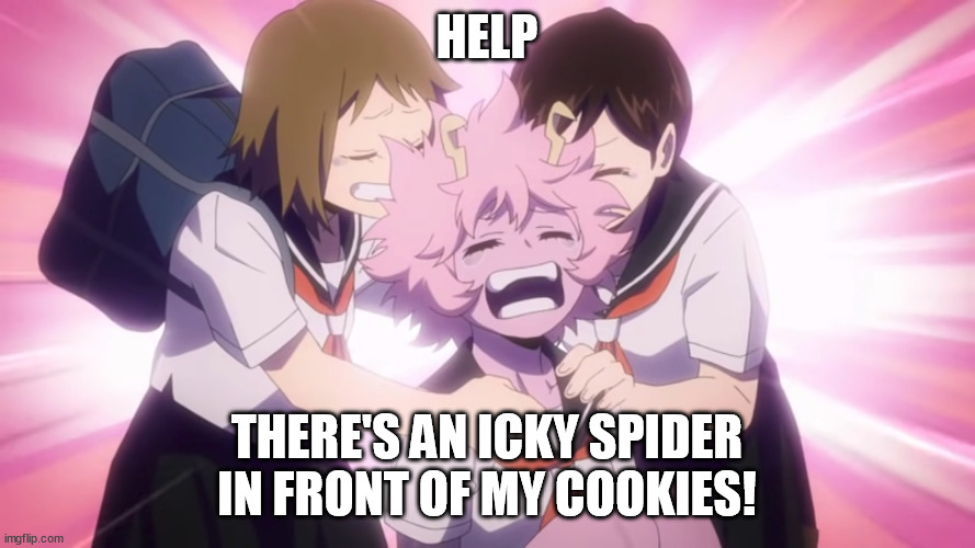 Ashido's cookies are serious business | HELP; THERE'S AN ICKY SPIDER IN FRONT OF MY COOKIES! | image tagged in scaredy cat ashido | made w/ Imgflip meme maker