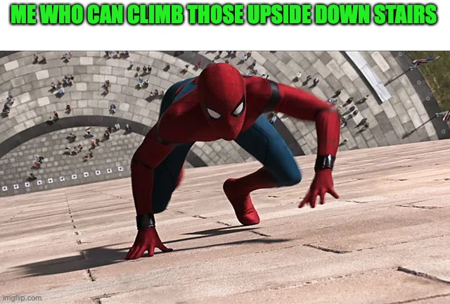 spiderman climbing | ME WHO CAN CLIMB THOSE UPSIDE DOWN STAIRS | image tagged in spiderman climbing | made w/ Imgflip meme maker