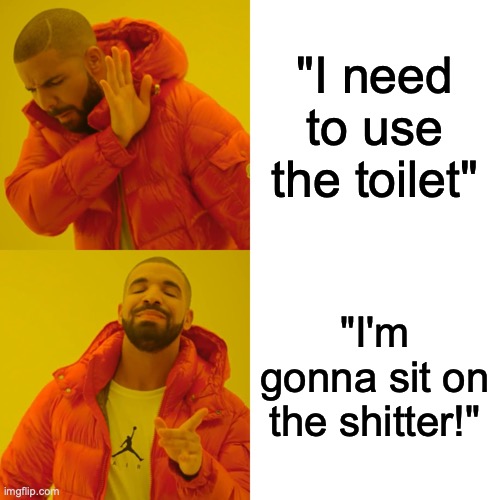 My way of saying "I'm going to the bathroom" | "I need to use the toilet"; "I'm gonna sit on the shitter!" | image tagged in memes,drake hotline bling,bathroom,funny | made w/ Imgflip meme maker