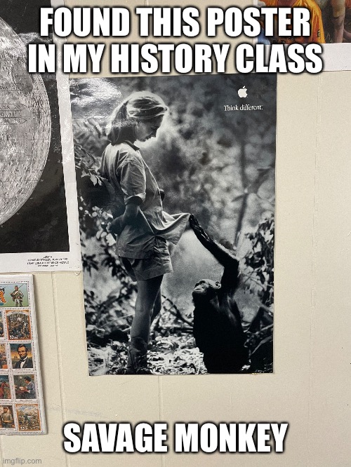 Sus poster | FOUND THIS POSTER IN MY HISTORY CLASS; SAVAGE MONKEY | image tagged in sus,monkey,savage monkey | made w/ Imgflip meme maker