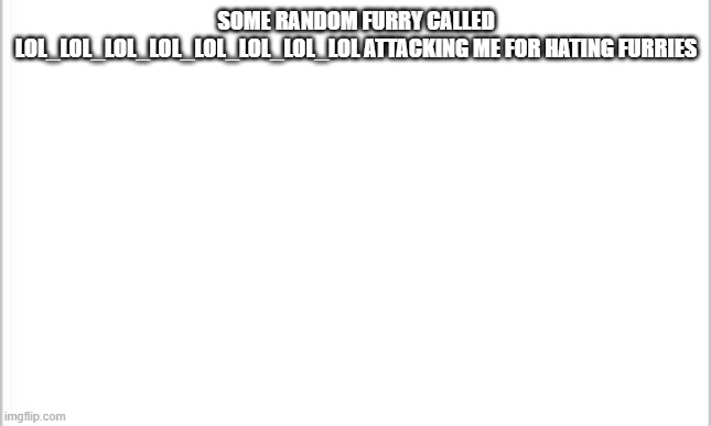 white background | SOME RANDOM FURRY CALLED LOL_LOL_LOL_LOL_LOL_LOL_LOL_LOL ATTACKING ME FOR HATING FURRIES | image tagged in white background | made w/ Imgflip meme maker