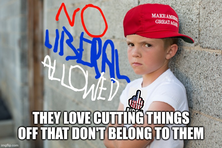 THEY LOVE CUTTING THINGS OFF THAT DON'T BELONG TO THEM | made w/ Imgflip meme maker