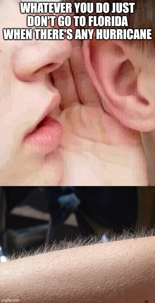 whisper in ear goosebumps | WHATEVER YOU DO JUST DON'T GO TO FLORIDA WHEN THERE'S ANY HURRICANE | image tagged in whisper in ear goosebumps | made w/ Imgflip meme maker