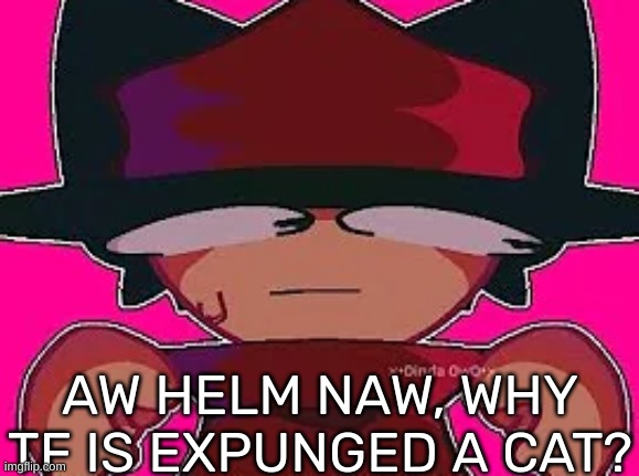 AW HELM NAW, WHY TF IS EXPUNGED A CAT? | image tagged in idk,stuff,s o u p,carck | made w/ Imgflip meme maker