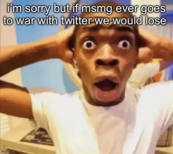 i’m just being fr twitter has more users than us | i’m sorry but if msmg ever goes to war with twitter we would lose | image tagged in in shock | made w/ Imgflip meme maker
