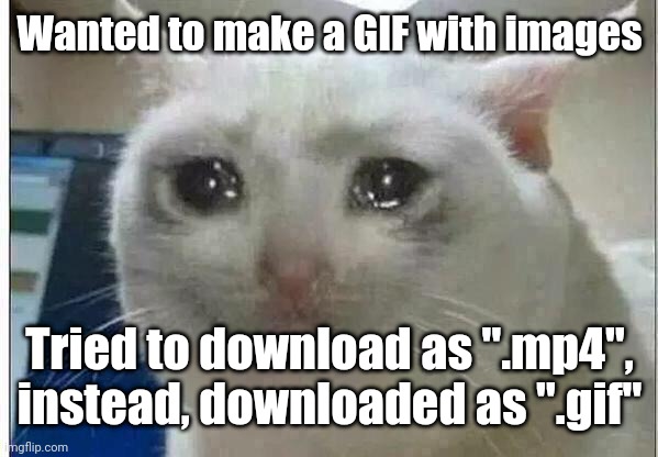 I want to download as ".mp4" | Wanted to make a GIF with images; Tried to download as ".mp4", instead, downloaded as ".gif" | image tagged in crying cat,memes,software gore,funny | made w/ Imgflip meme maker