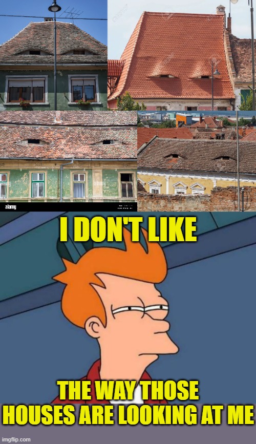 Are these houses creepy or just friendly? | I DON'T LIKE; THE WAY THOSE HOUSES ARE LOOKING AT ME | image tagged in memes,futurama fry | made w/ Imgflip meme maker