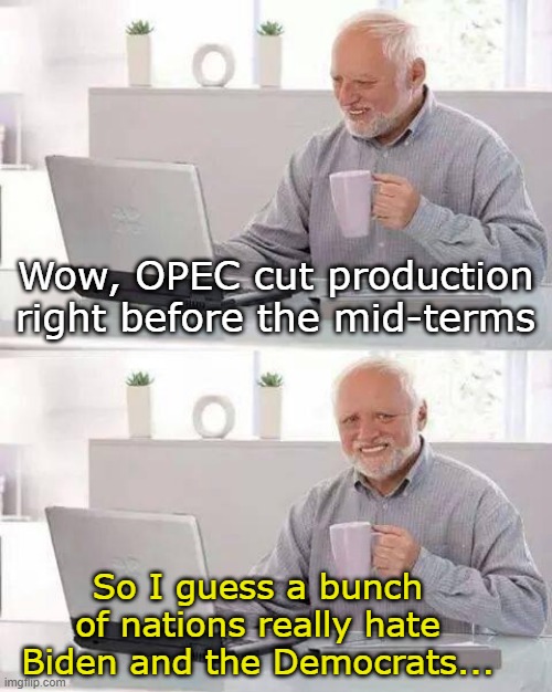 People Love Biden and the DNC... or not. | Wow, OPEC cut production right before the mid-terms; So I guess a bunch of nations really hate Biden and the Democrats... | image tagged in memes,hide the pain harold | made w/ Imgflip meme maker