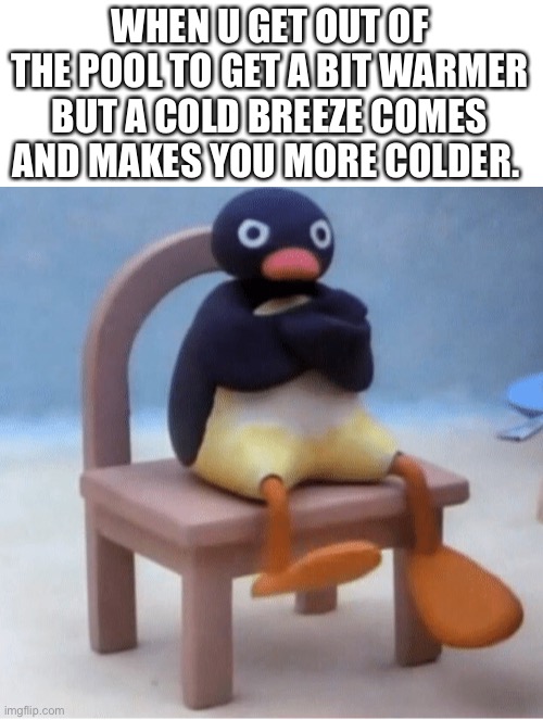 Cold wind make u go brrrrrrrrr | WHEN U GET OUT OF THE POOL TO GET A BIT WARMER BUT A COLD BREEZE COMES AND MAKES YOU MORE COLDER. | image tagged in angry penguin | made w/ Imgflip meme maker