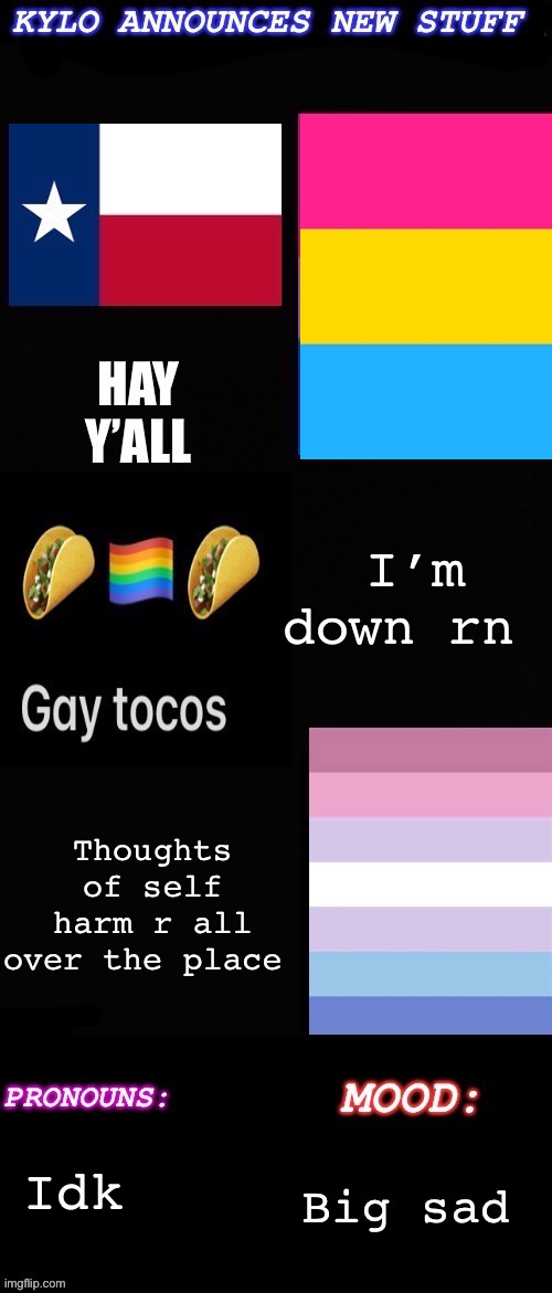 Kylos new new new temp pan/bigender | I’m down rn; Thoughts of self harm r all over the place; Idk; Big sad | image tagged in kylos new new new temp pan/bigender | made w/ Imgflip meme maker