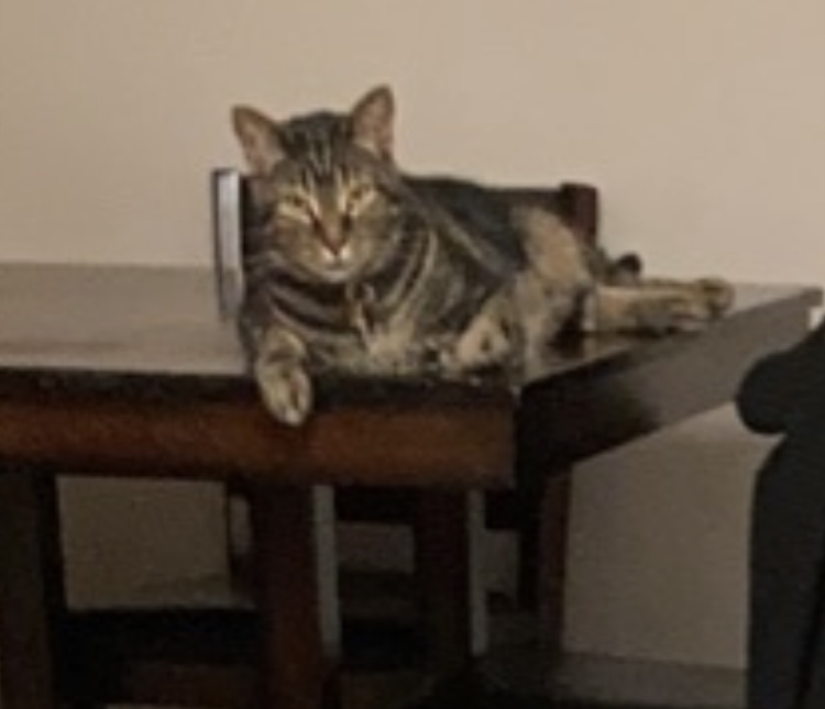 Eric Blank Meme Template