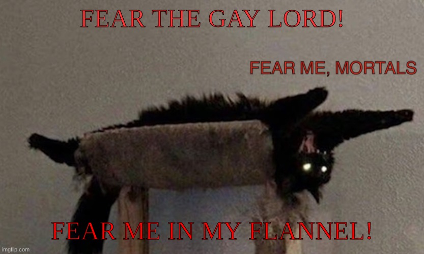 FEAR ME, MORTALS | FEAR THE GAY LORD! FEAR ME IN MY FLANNEL! | image tagged in fear me mortals | made w/ Imgflip meme maker