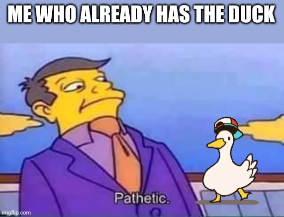 skinner pathetic | ME WHO ALREADY HAS THE DUCK | image tagged in skinner pathetic | made w/ Imgflip meme maker