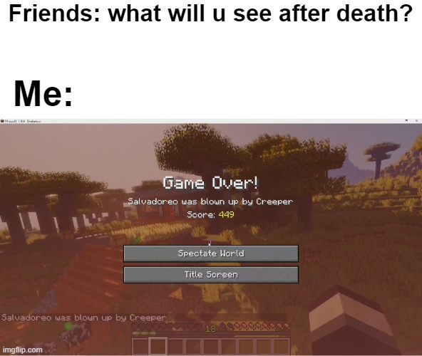 *true story | Friends: what will u see after death? Me: | image tagged in minecraft | made w/ Imgflip meme maker