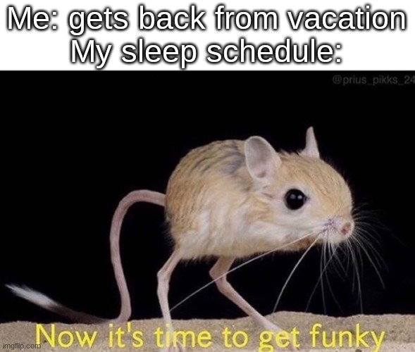 Now it’s time to get funky | Me: gets back from vacation
My sleep schedule: | image tagged in now it s time to get funky | made w/ Imgflip meme maker