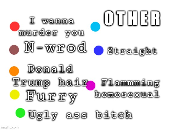 Choose what you think about me | O T H E R; N-wrod; I wanna murder you; Straight; Donald Trump hair; Furry; Flammming homosexual; Ugly ass bitch | image tagged in blank white template | made w/ Imgflip meme maker