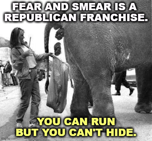 FEAR AND SMEAR IS A 
REPUBLICAN FRANCHISE. YOU CAN RUN BUT YOU CAN'T HIDE. | image tagged in fear,smear,republican,exclusive,franchise | made w/ Imgflip meme maker