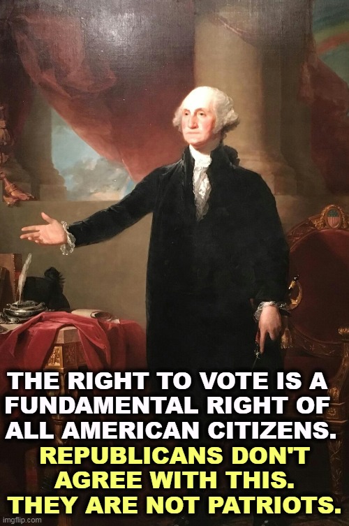 Republicans have forgotten the meaning of democracy, and MAGA hates it outright. | THE RIGHT TO VOTE IS A 
FUNDAMENTAL RIGHT OF 
ALL AMERICAN CITIZENS. REPUBLICANS DON'T AGREE WITH THIS. THEY ARE NOT PATRIOTS. | image tagged in george washington,right to vote,fundamental,citizens,republicans,hate | made w/ Imgflip meme maker