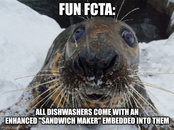 his name's bim bim | FUN FCTA:; ALL DISHWASHERS COME WITH AN ENHANCED "SANDWICH MAKER" EMBEDDED INTO THEM | image tagged in his name's bim bim | made w/ Imgflip meme maker