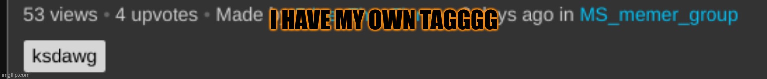 I HAVE MY OWN TAGGGG | made w/ Imgflip meme maker