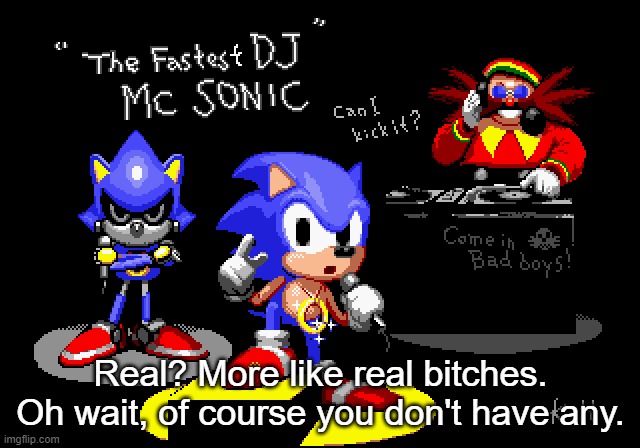 Sonic CD rapper image | Real? More like real bitches. Oh wait, of course you don't have any. | image tagged in sonic cd rapper image | made w/ Imgflip meme maker