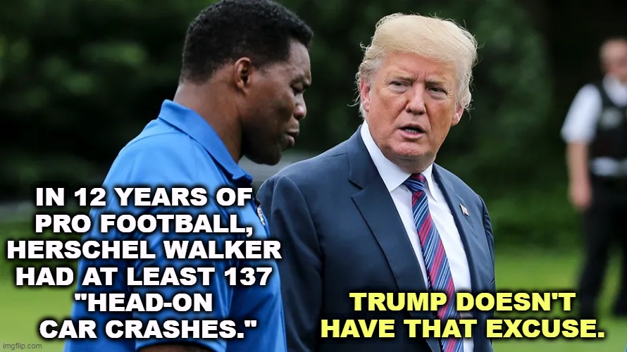 A mind is a terrible thing to waste, and an even worse thing to lose. |  IN 12 YEARS OF 

PRO FOOTBALL, 
HERSCHEL WALKER 
HAD AT LEAST 137 
"HEAD-ON 
CAR CRASHES."; TRUMP DOESN'T HAVE THAT EXCUSE. | image tagged in herschel walker trump,herschel walker,donald trump,crazy,mental illness | made w/ Imgflip meme maker