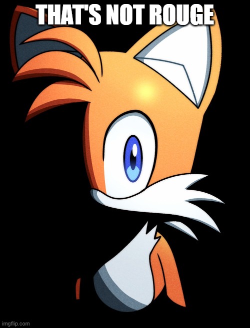 THAT'S NOT ROUGE | image tagged in tails stare 2 | made w/ Imgflip meme maker