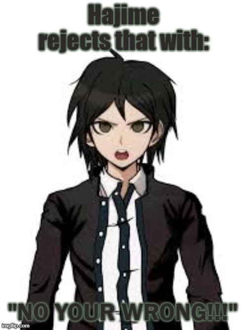 rejection! | "NO YOUR WRONG!!!" | image tagged in rejection | made w/ Imgflip meme maker